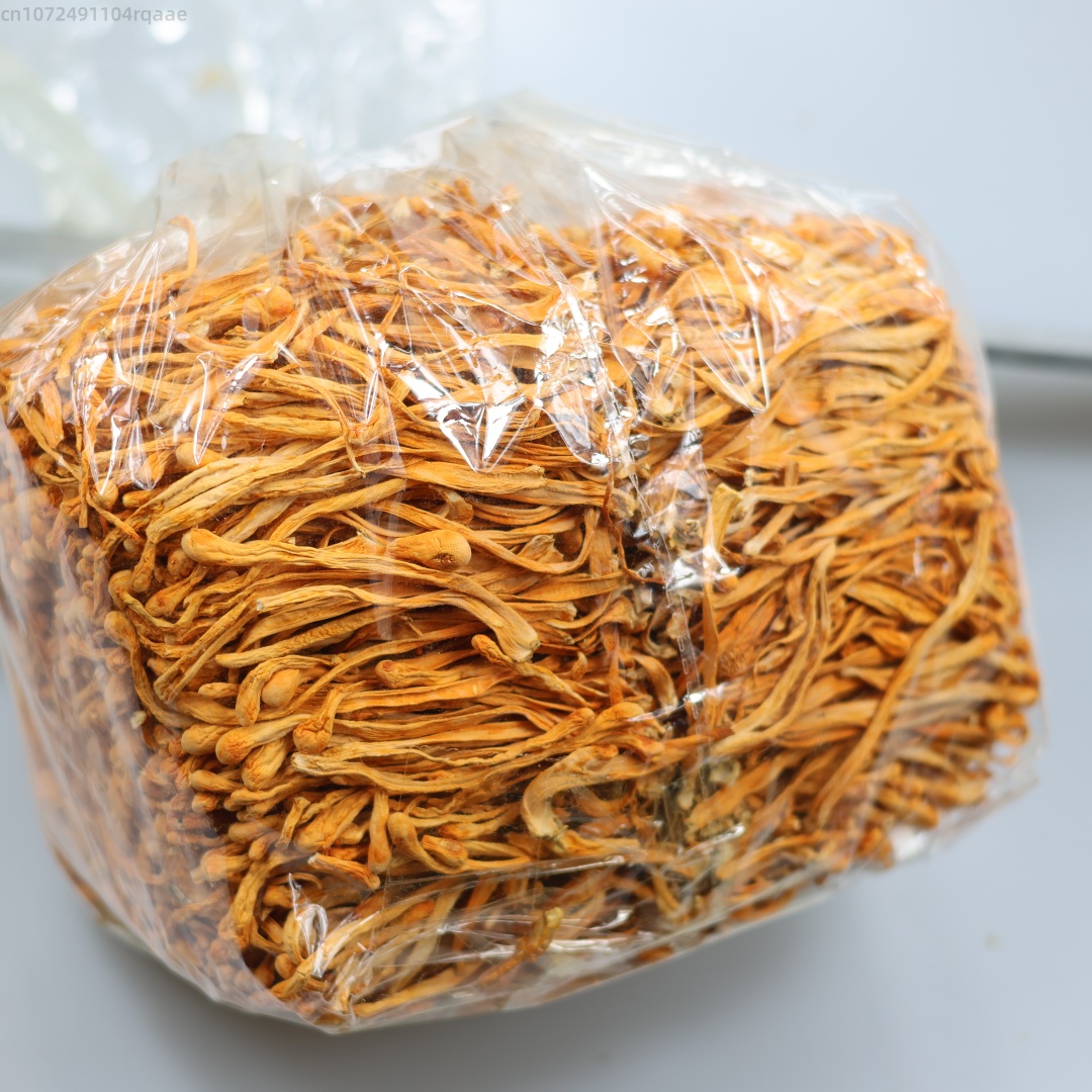 Soap Making Diy Kit - Fleur de Cordyceps séchée naturelle de