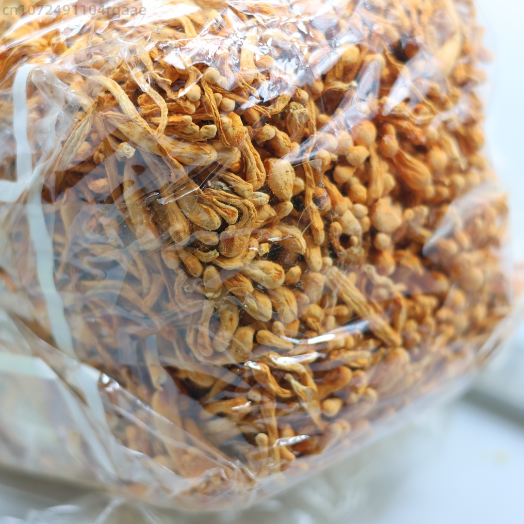 Fleur de Cordyceps séchée natu - Soap Making Diy Kit avis et prix